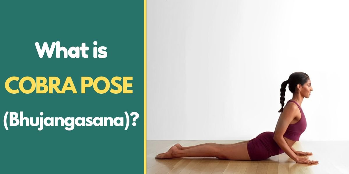 What is Cobra Pose (Bhujangasana)?