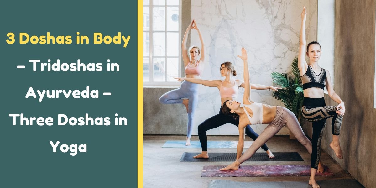 3 Doshas in Body – Tridoshas in Ayurveda – Three Doshas in Yoga